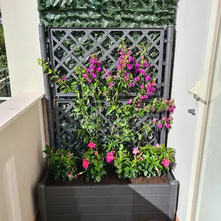 Maison Flavia Apartment *