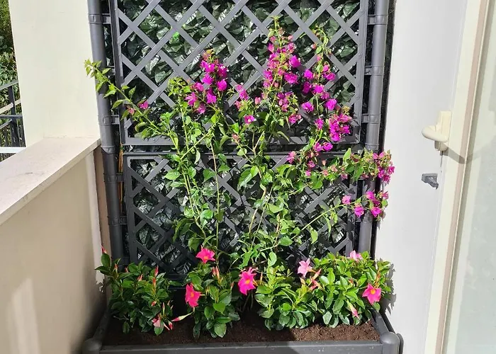 Maison Flavia Apartament *